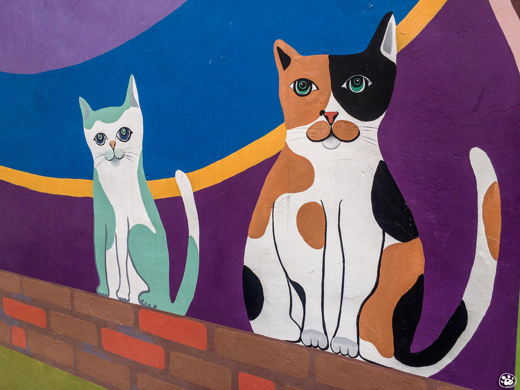 台南中西區散步景點貓咪高地銀同社區流水觀音寺鶯料理推薦貓與蟲的遊記生活 (31).jpg