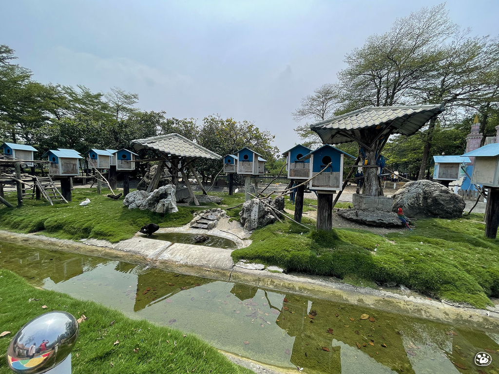 台南頑皮世界2022遊樂園動物園一日遊親子景點票價營業時間水豚狐蒙表演場次公車停車收費 (4).jpg