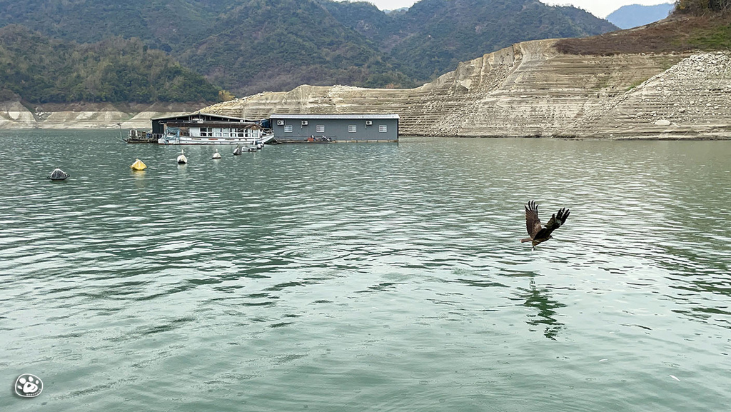 貓嶼蟲2023台南旅遊半日遊曾文水庫釣魚套裝KKDAY推薦門票營業時間 (35).jpg