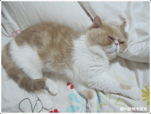 【運動筆記】新計畫啟動與每天動一動(Day94-Day114