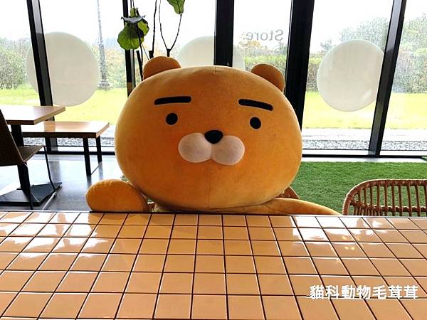 1909濟州島遊記-kakao friends(咖啡廳).jpg