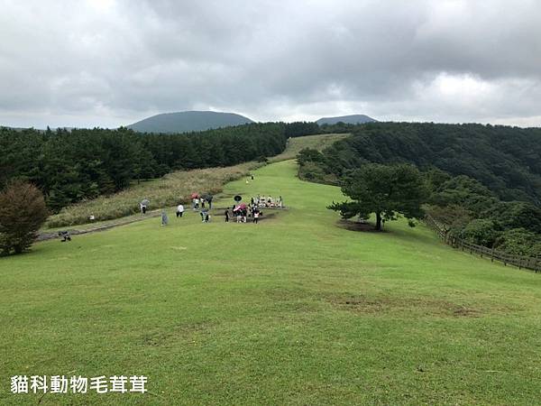 1909濟州島遊記-山君不離-造景.jpg