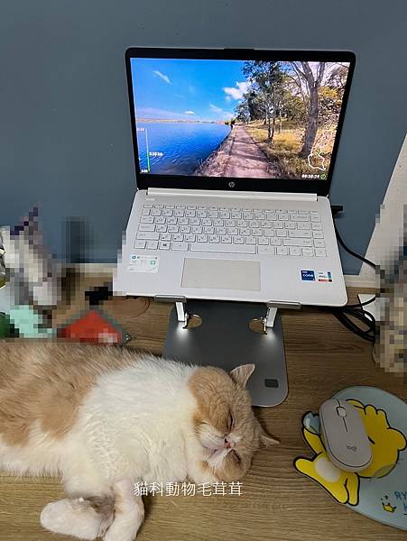 【運動筆記】BGYM比勁超慢跑律動走步機與Virtual R