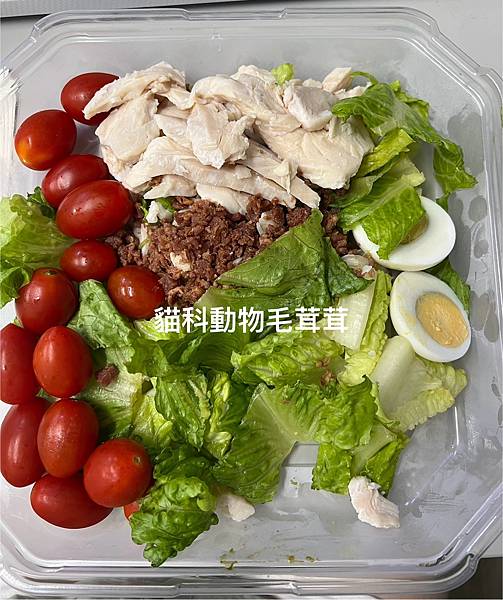 【毛茸茸日記】早點吃以後是早點睡，365運動持續中