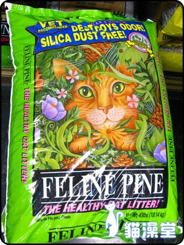 cat0606-5.jpg cat0606-5.jpg