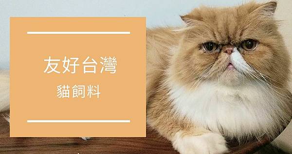 貓乾糧開箱 QNA囧貓私生活.jpg