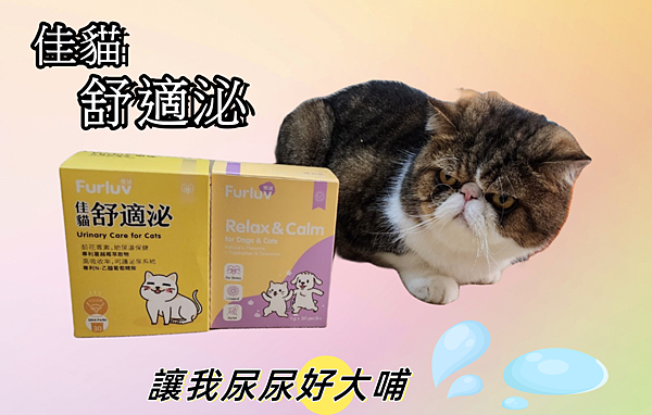 寵物用品 ｜寵物保健 貓咪泌尿道保健的重要性！Furluv佳