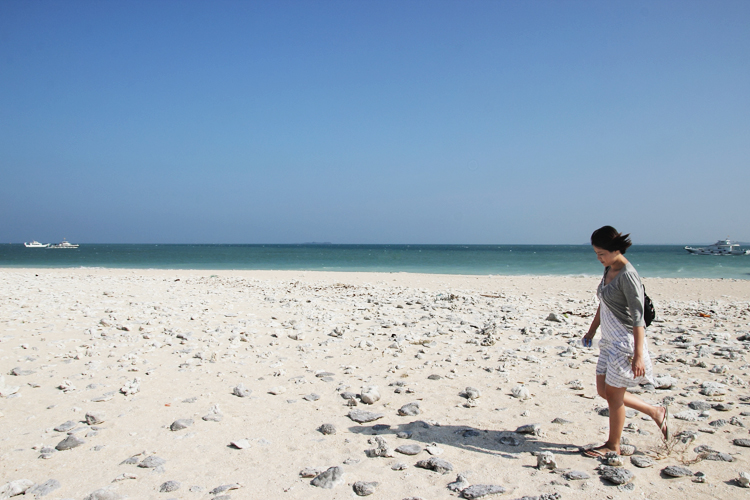 澎湖菊島