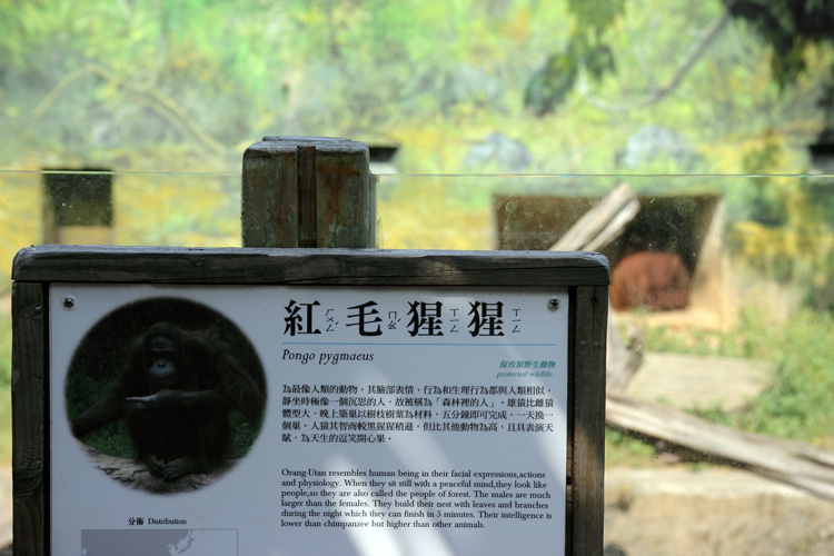 新竹動物園 新竹動物園