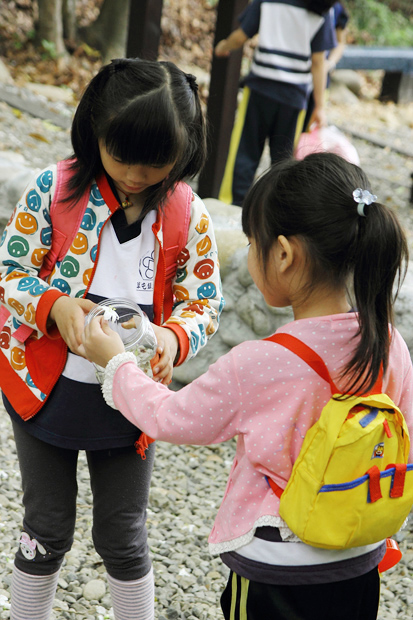 彰化芬園挑水古道桐花 彰化芬園挑水古道桐花