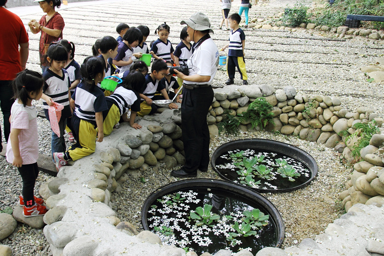 彰化芬園挑水古道桐花 彰化芬園挑水古道桐花