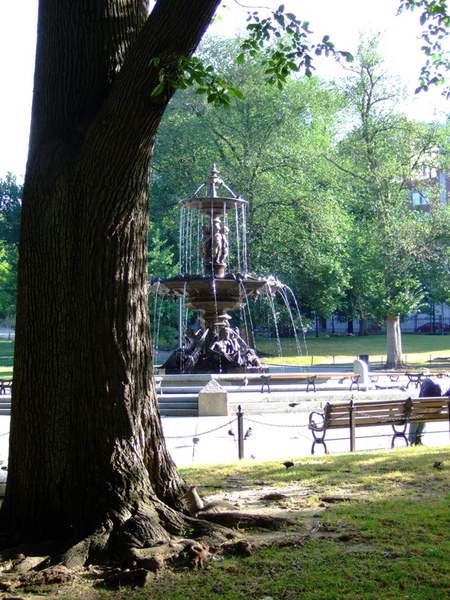 DSCF2202.jpg DSCF2202.jpg
