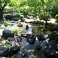 日式庭園小溪流