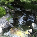 日式庭園中的小溪流