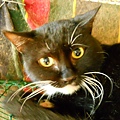 DSCN9773.JPG