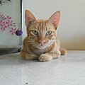 DSCN7721