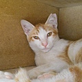 DSCN8564