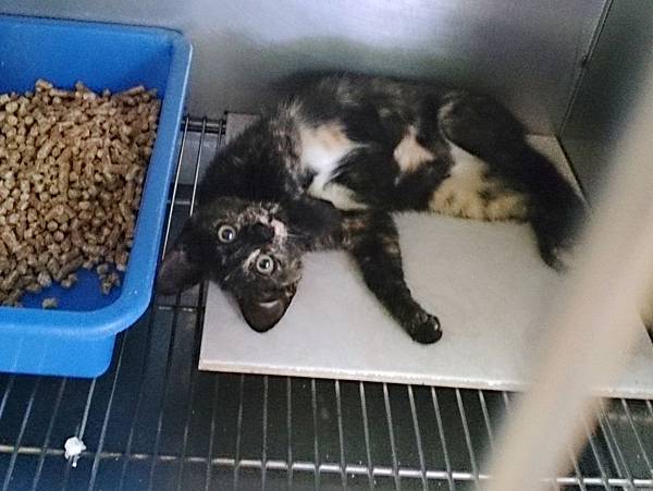 2013-06-08 10.32.25-1