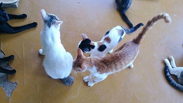 2013-07-04 14.10.12.jpg