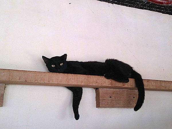 2013-07-04 14.11.32.jpg