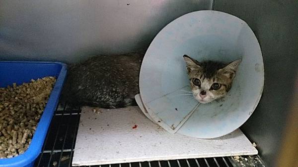 2013-07-04 13.36.08.jpg