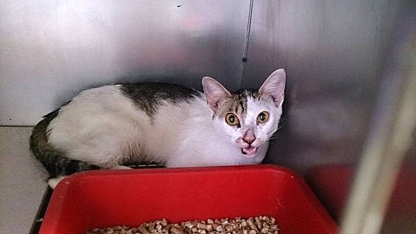 2013-07-04 13.42.33.jpg