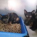 2013-09-14 13.36.21.jpg