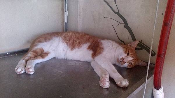 2013-09-14 11.16.52.jpg