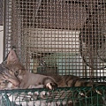 2013-09-14 11.17.46.jpg