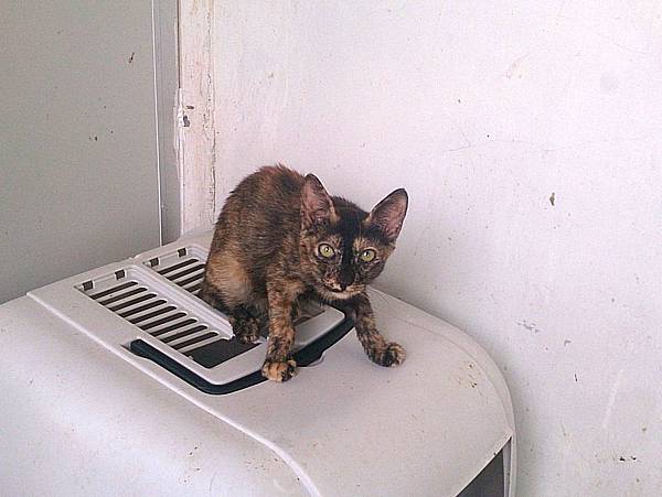 2013-09-14 11.20.31.jpg