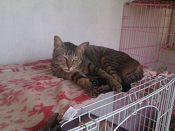 2013-09-14 11.20.52.jpg