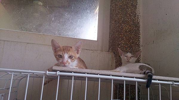 2013-09-14 12.15.39.jpg