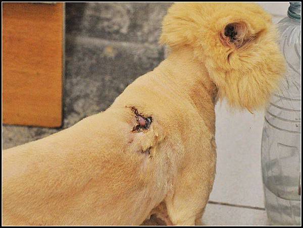 545960_10200484817192954_1085760065_n