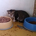 2014-06-14 11.03.22.jpg