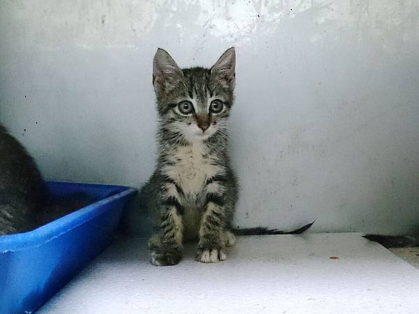 2014-06-28 11.09.54.jpg