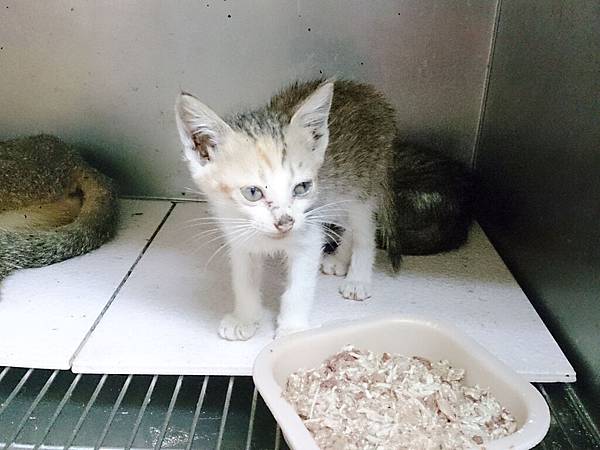 2014-06-28 11.10.09.jpg