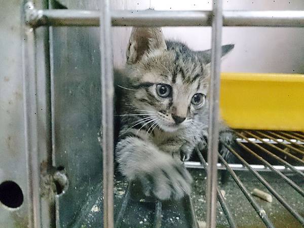 2014-06-28 12.04.06.jpg