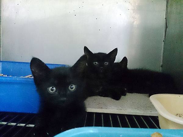 2014-06-28 12.04.27.jpg