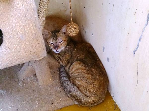 2014-06-28 11.15.27.jpg