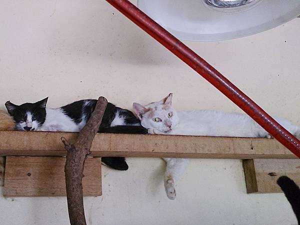 2014-06-28 11.16.37.jpg