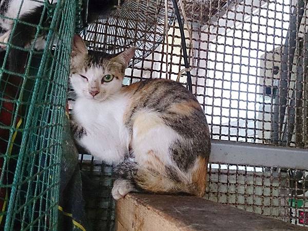 2014-06-28 11.16.59.jpg