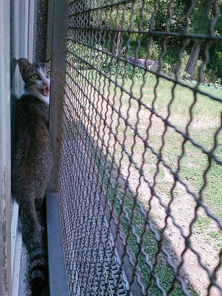 2014-06-28 13.06.35.jpg