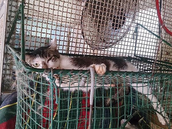 2014-06-28 13.10.49.jpg