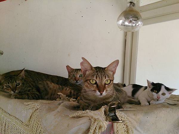 2014-06-28 11.12.15.jpg