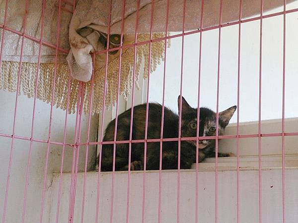 2014-06-28 11.12.34.jpg