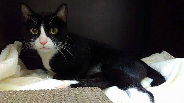 11745946_981894175164513_337051127143218308_n