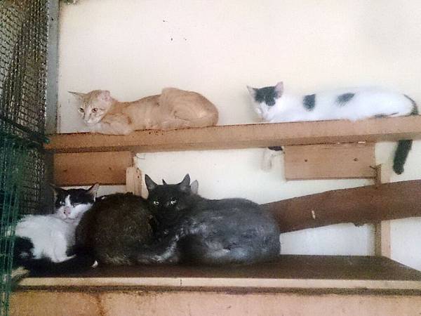 2015-08-09 13.39.01.jpg