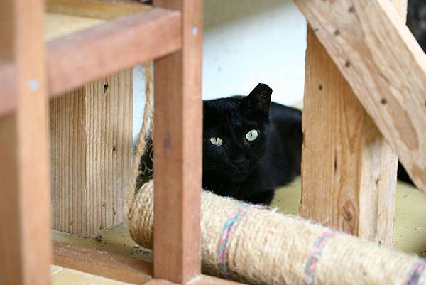 IMG_7332.jpg IMG_7332.jpg