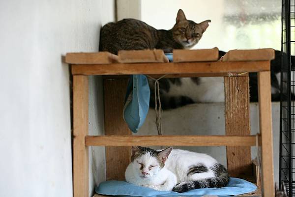 IMG_7333.jpg IMG_7333.jpg