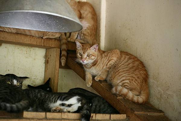 IMG_7334.jpg IMG_7334.jpg